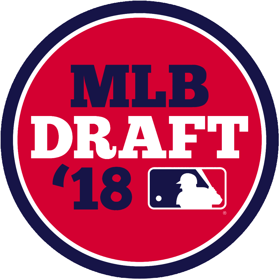 MLB Draft 2018 Primary Logo iron on heat transfer